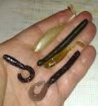 Smaller Bait Molds 3in and Less