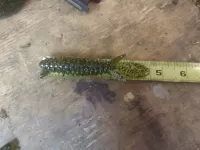 RT45 Ribbed Creature Bait With Beaver Style Tail
